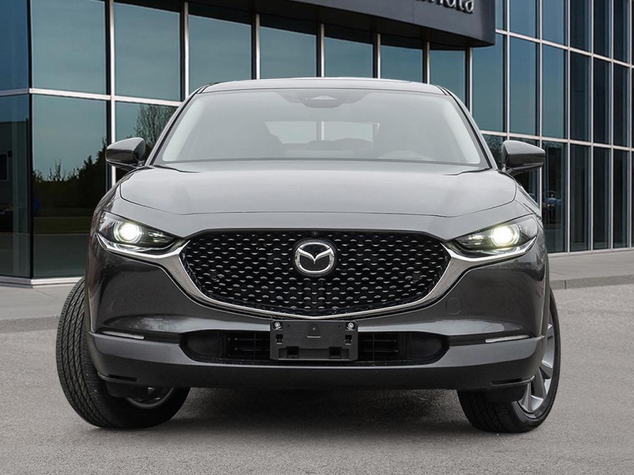 2025 Mazda CX-30 GT 4dr i-ACTIV All-Wheel Drive Sport Utility Photo