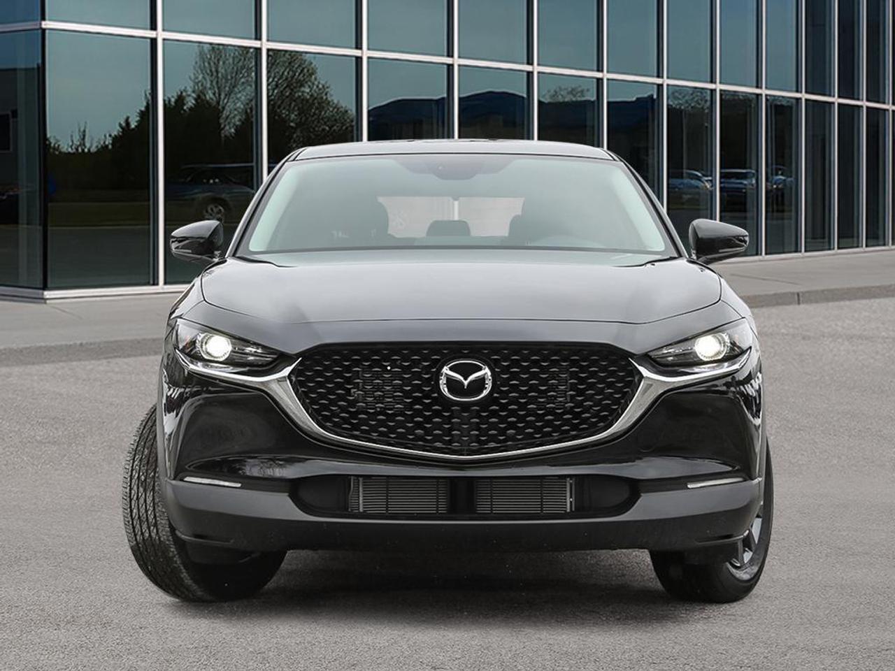 2025 Mazda CX-30 GX 4dr i-ACTIV All-Wheel Drive Sport Utility Photo