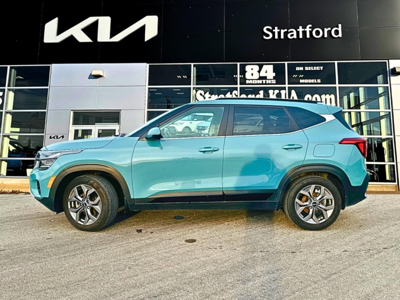 2024 Kia Seltos EX Photo