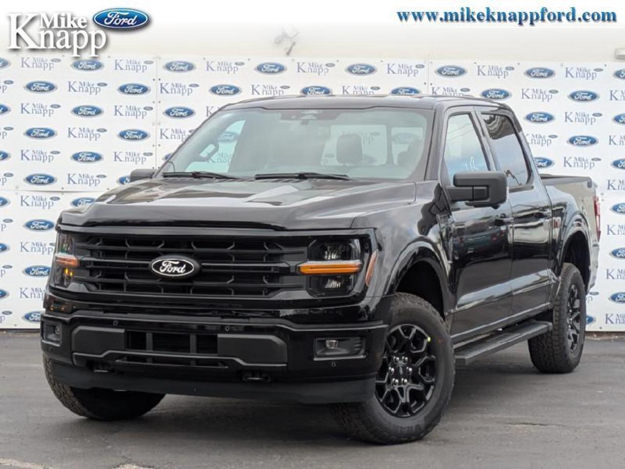 2025 Ford F-150 XLT Photo