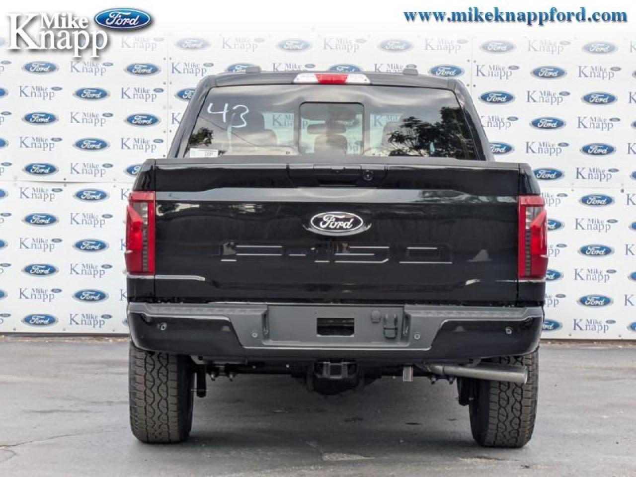 2025 Ford F-150 XLT Photo