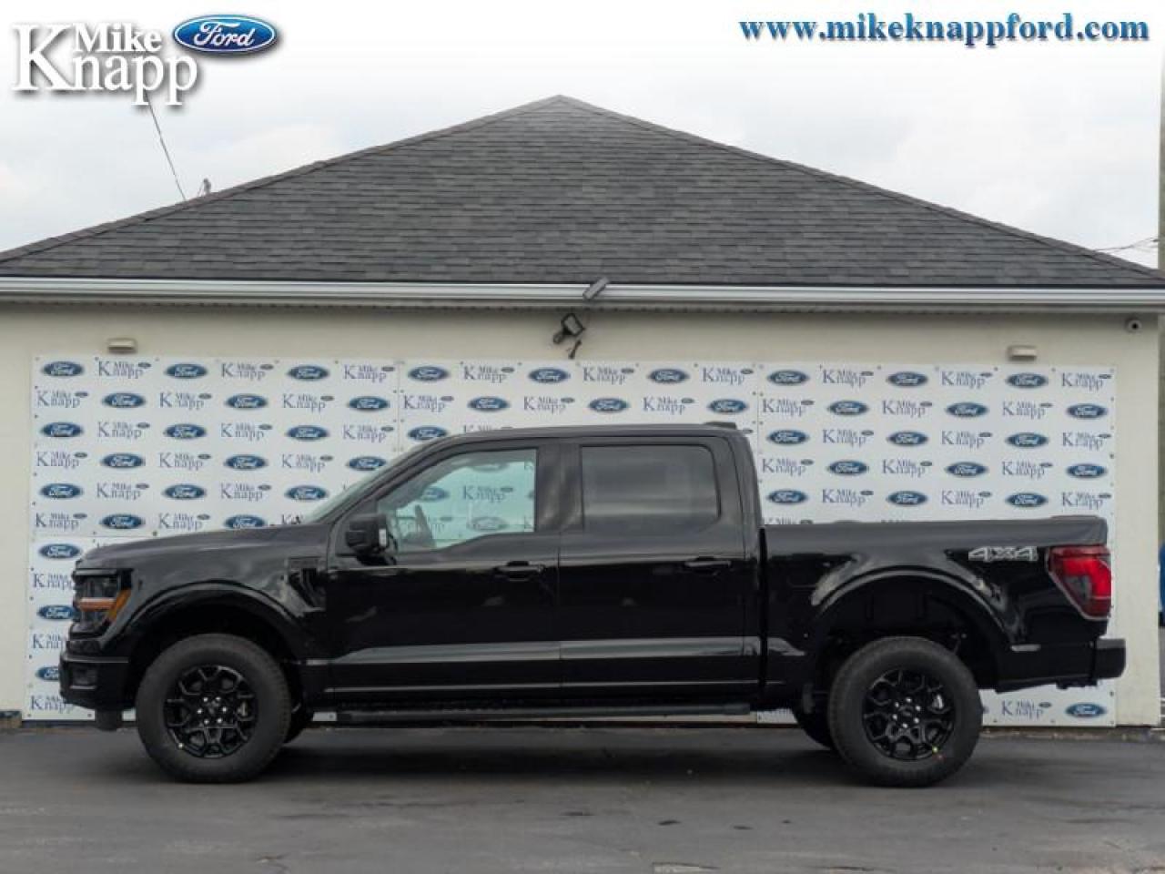 2025 Ford F-150 XLT Photo