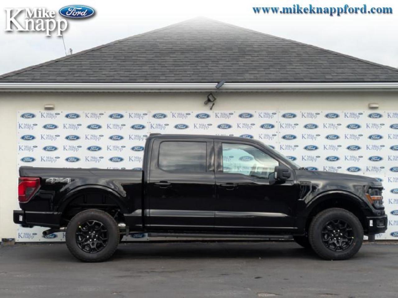 2025 Ford F-150 XLT Photo