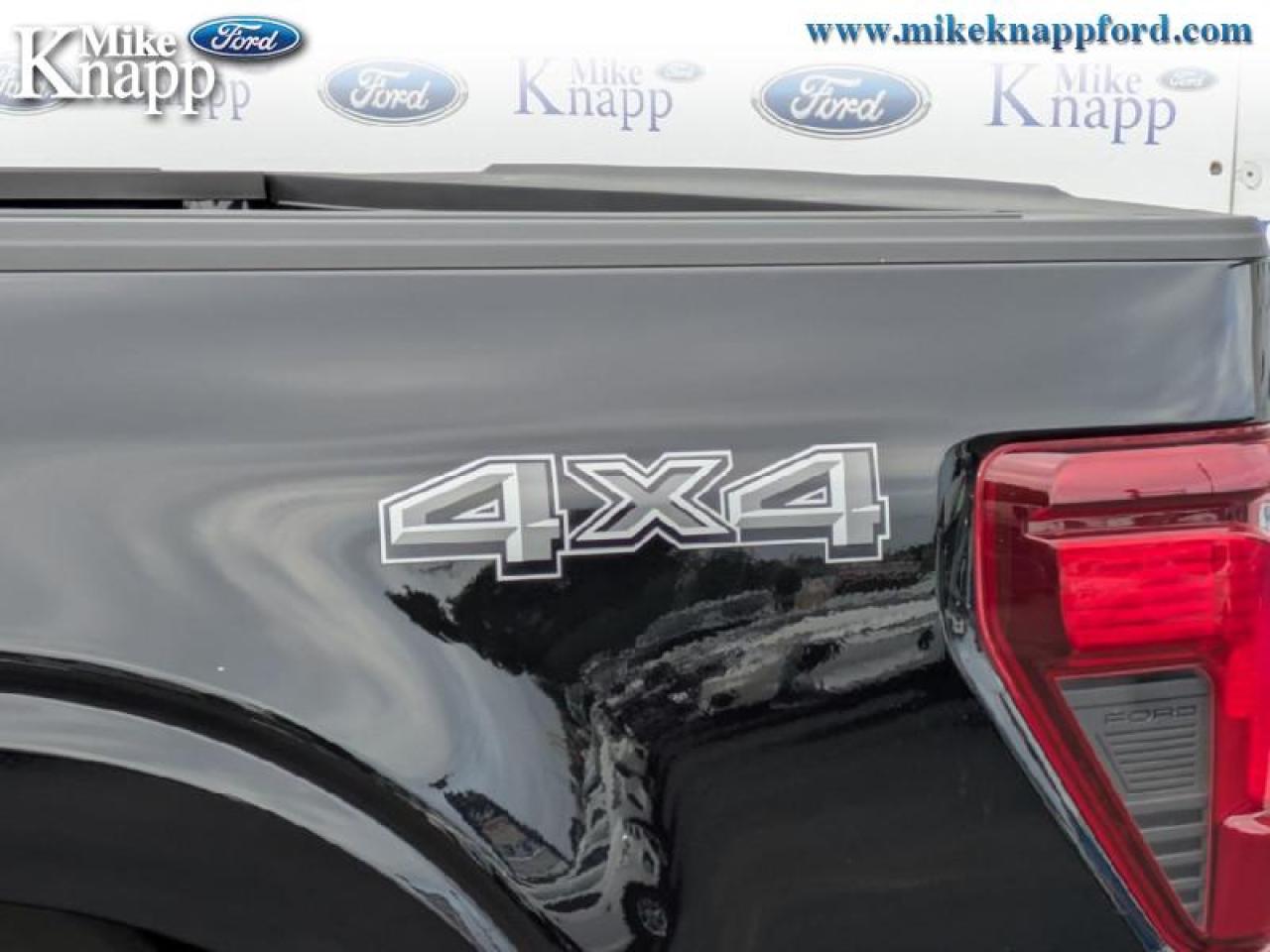 2025 Ford F-150 XLT Photo