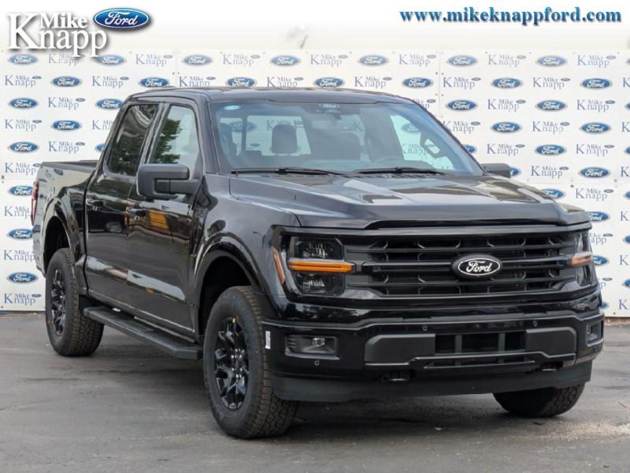 2025 Ford F-150 XLT Photo