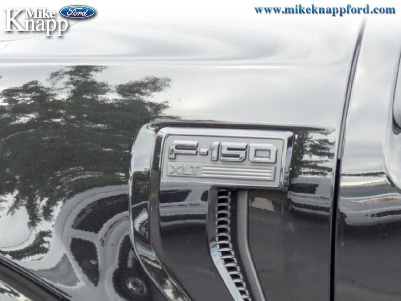 2025 Ford F-150 XLT Photo