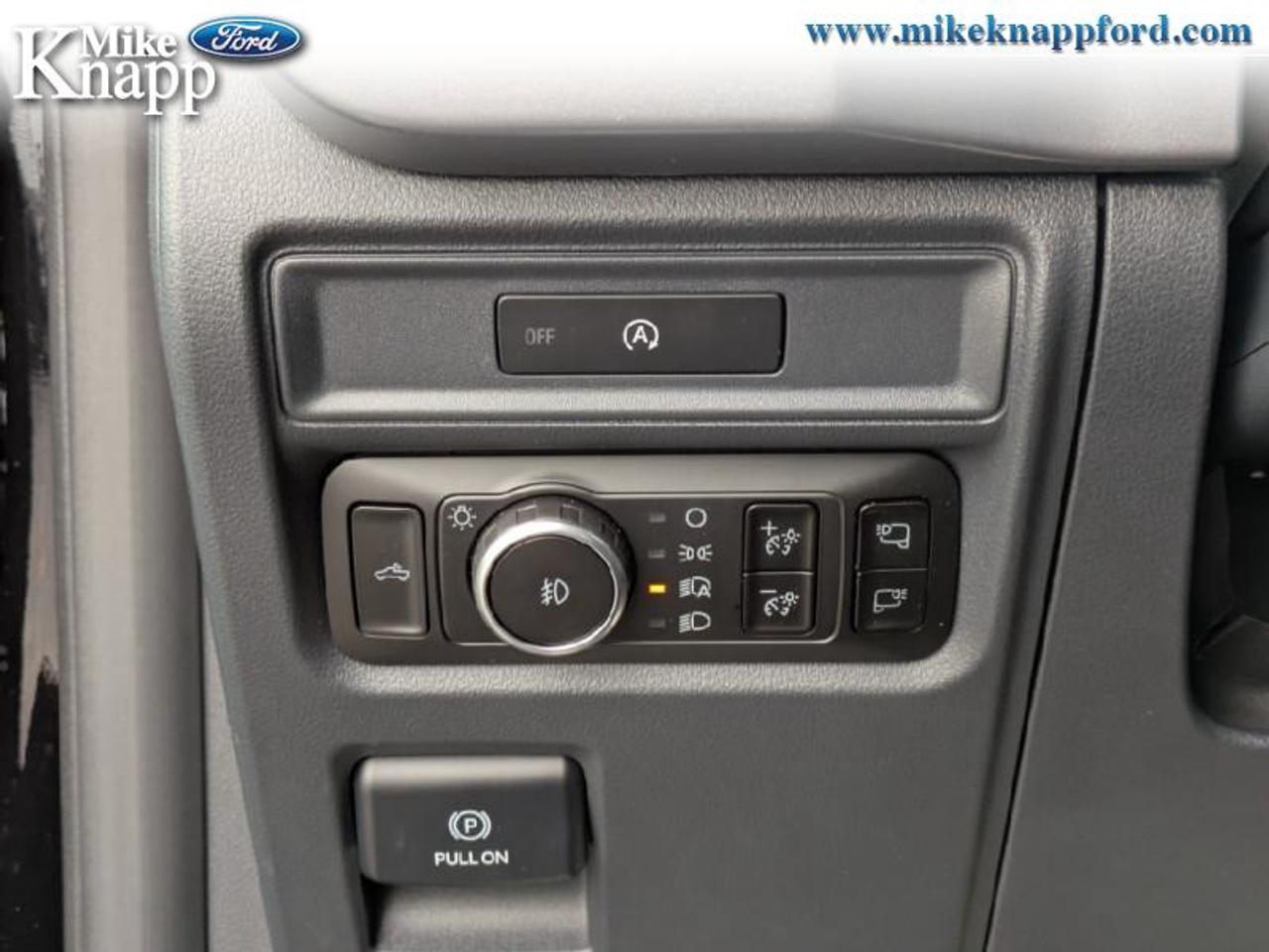 2025 Ford F-150 XLT Photo