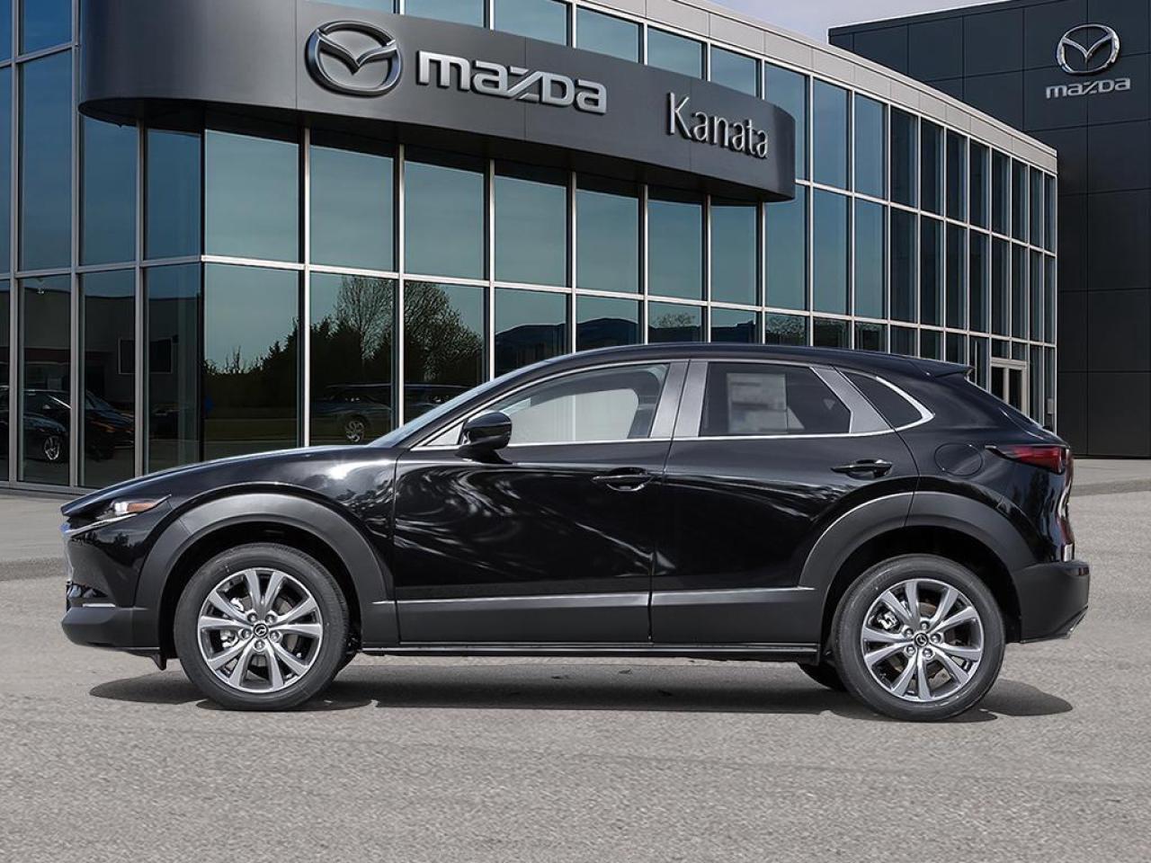 2025 Mazda CX-30 GS 4dr i-ACTIV All-Wheel Drive Sport Utility Photo