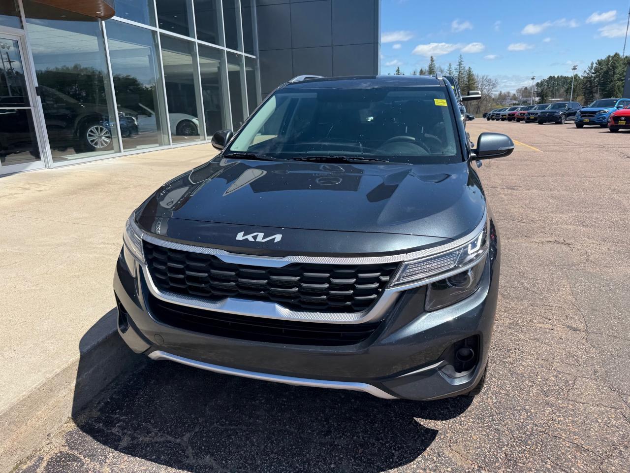 2022 Kia Seltos LX 4dr All-Wheel Drive Photo