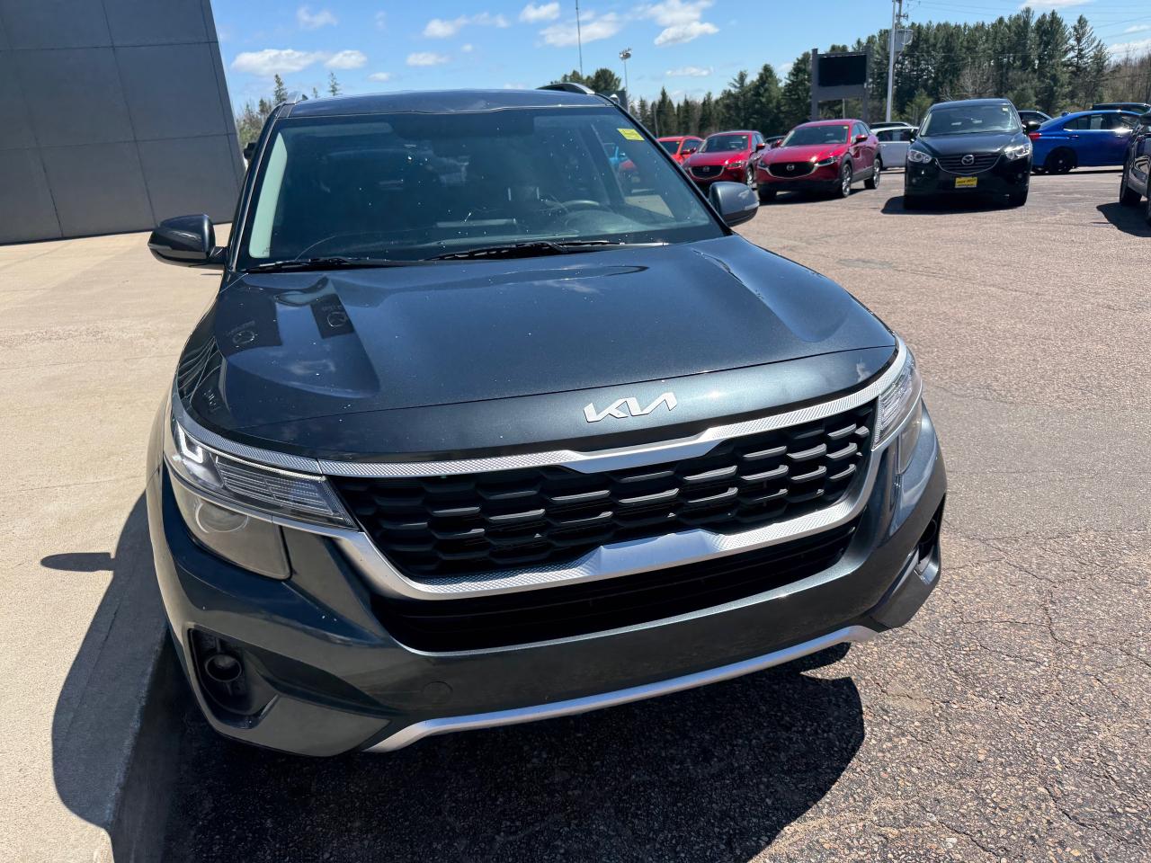 2022 Kia Seltos LX 4dr All-Wheel Drive Photo