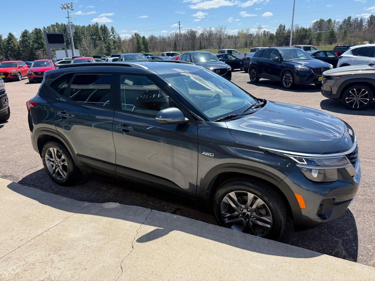 2022 Kia Seltos LX 4dr All-Wheel Drive Photo