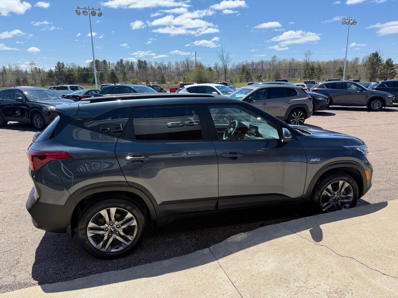 2022 Kia Seltos LX 4dr All-Wheel Drive Photo