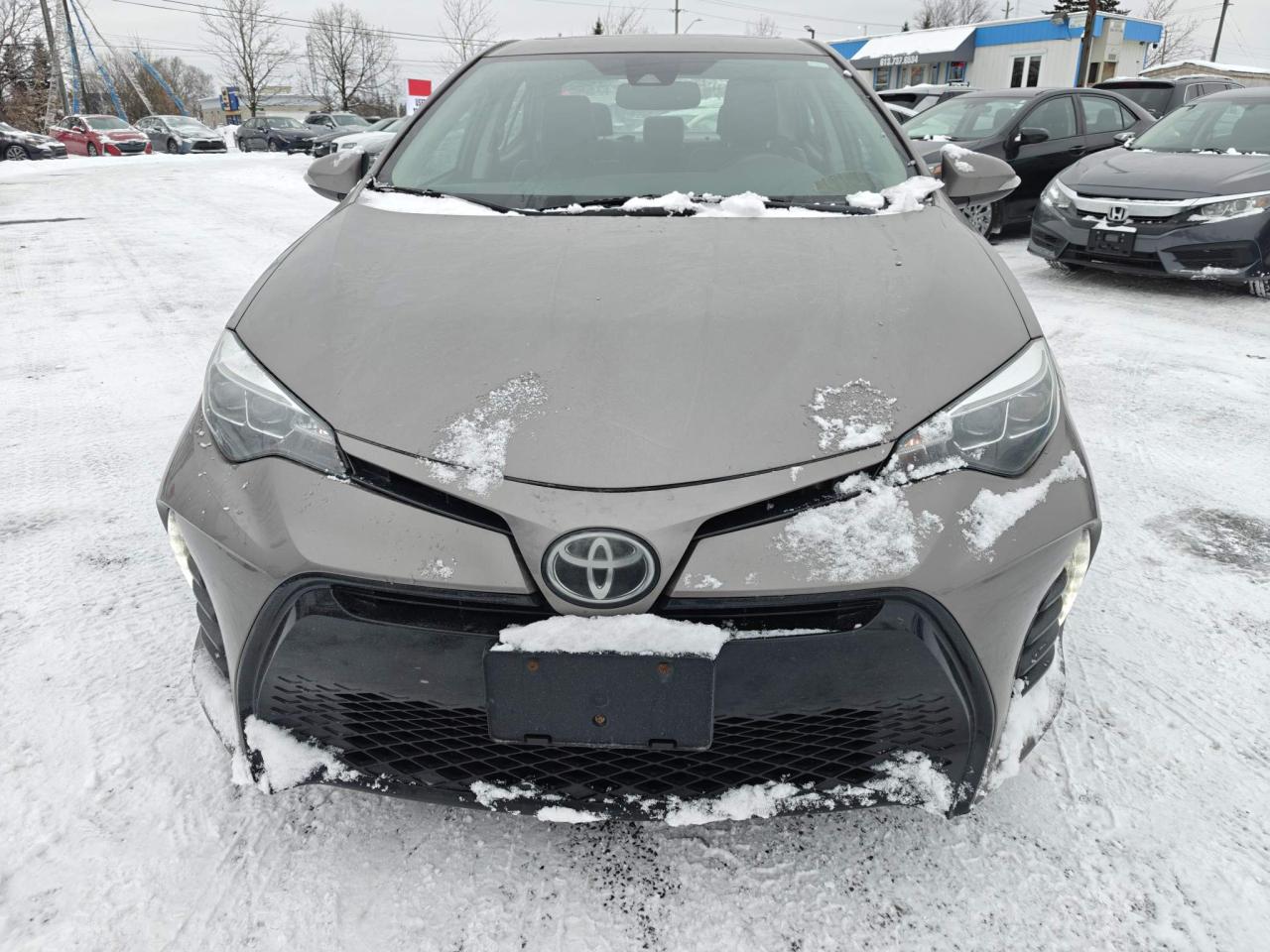 2019 Toyota Corolla SE (CVTi-S) 4dr Sedan Photo