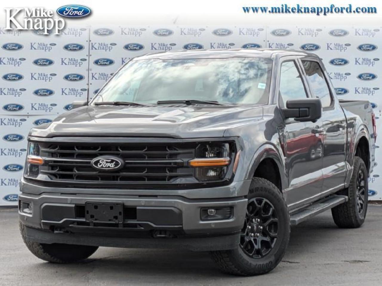2025 Ford F-150 XLT Photo0