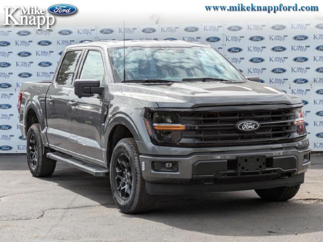 2025 Ford F-150 XLT Photo