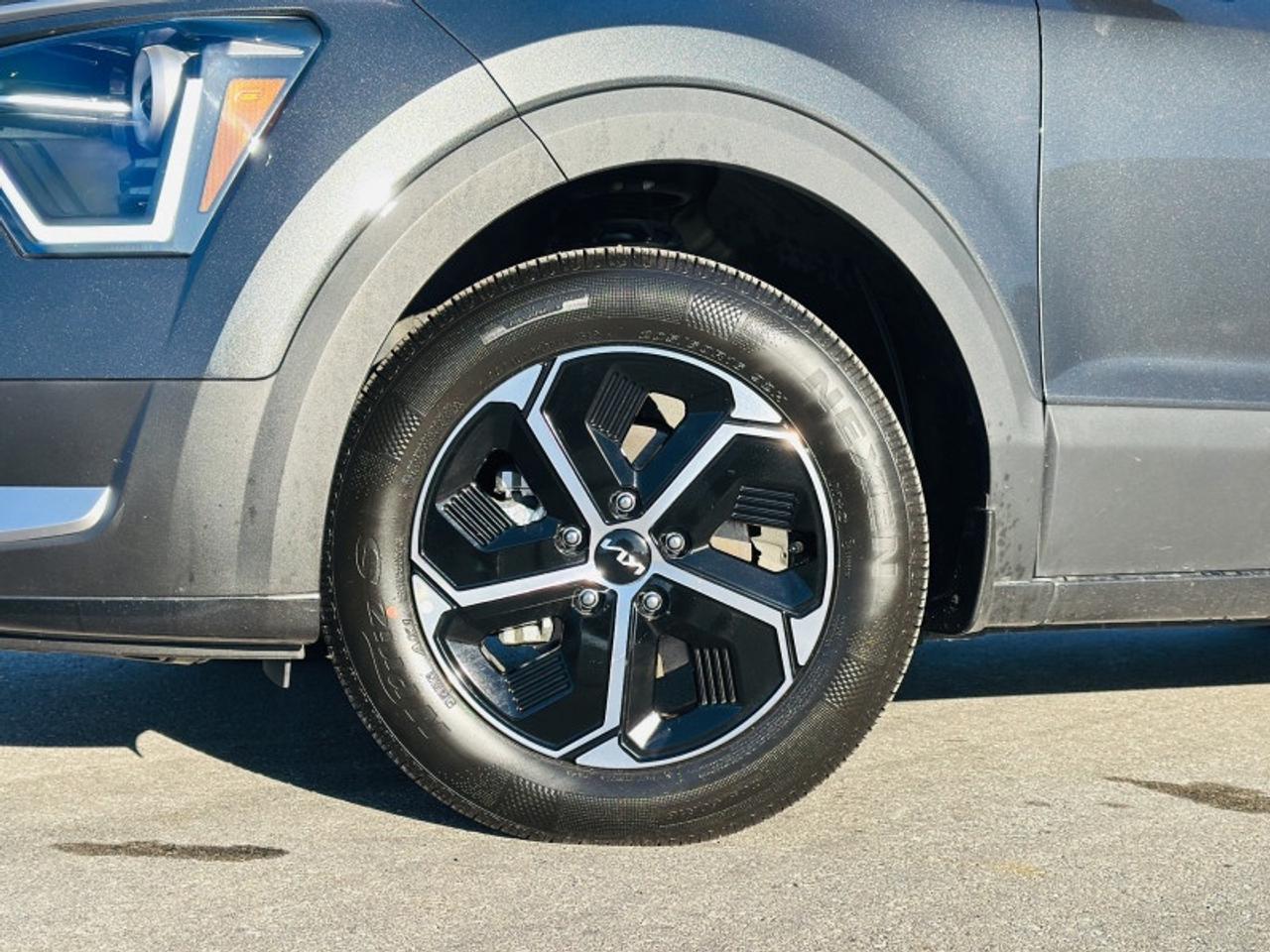 2025 Kia NIRO EX Photo