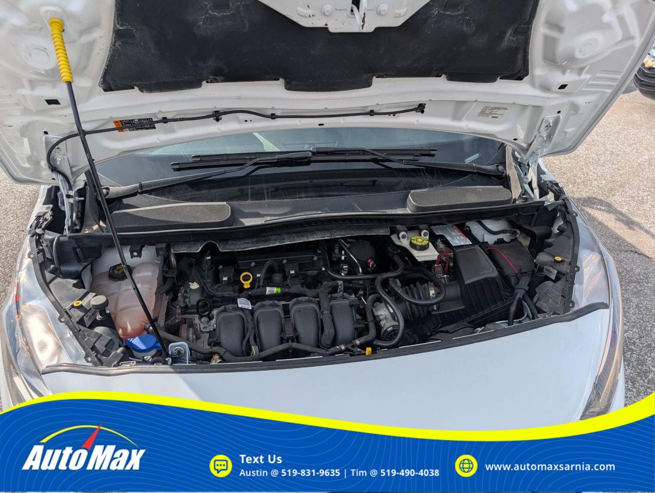 2021 Ford Transit Connect XLT w/Dual Sliding Doors Cargo Van Photo