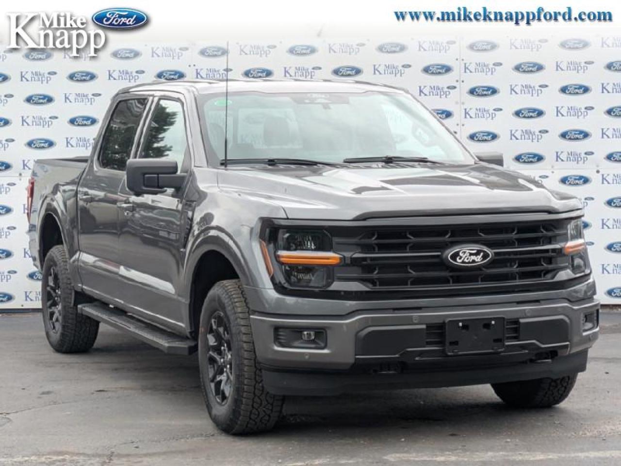 2025 Ford F-150 XLT Photo