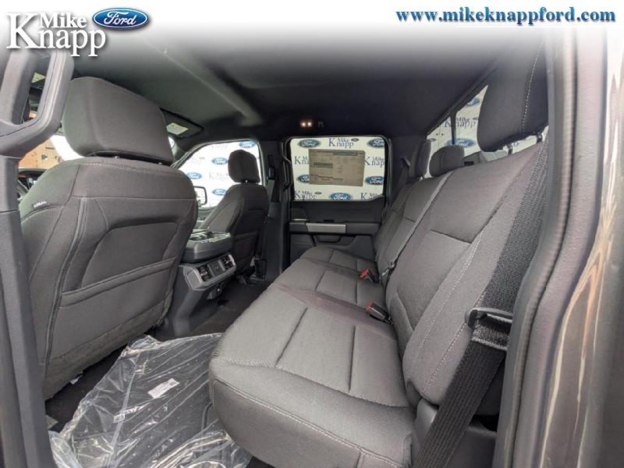 2025 Ford F-150 XLT Photo