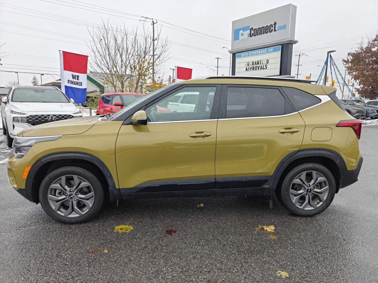 2024 Kia Seltos EX Premium 4dr All-Wheel Drive Photo