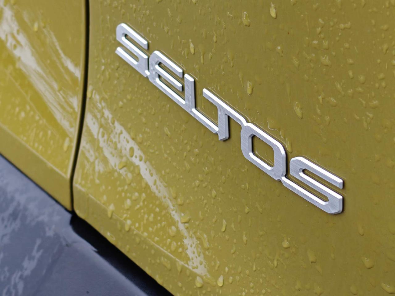 2024 Kia Seltos EX Premium 4dr All-Wheel Drive Photo