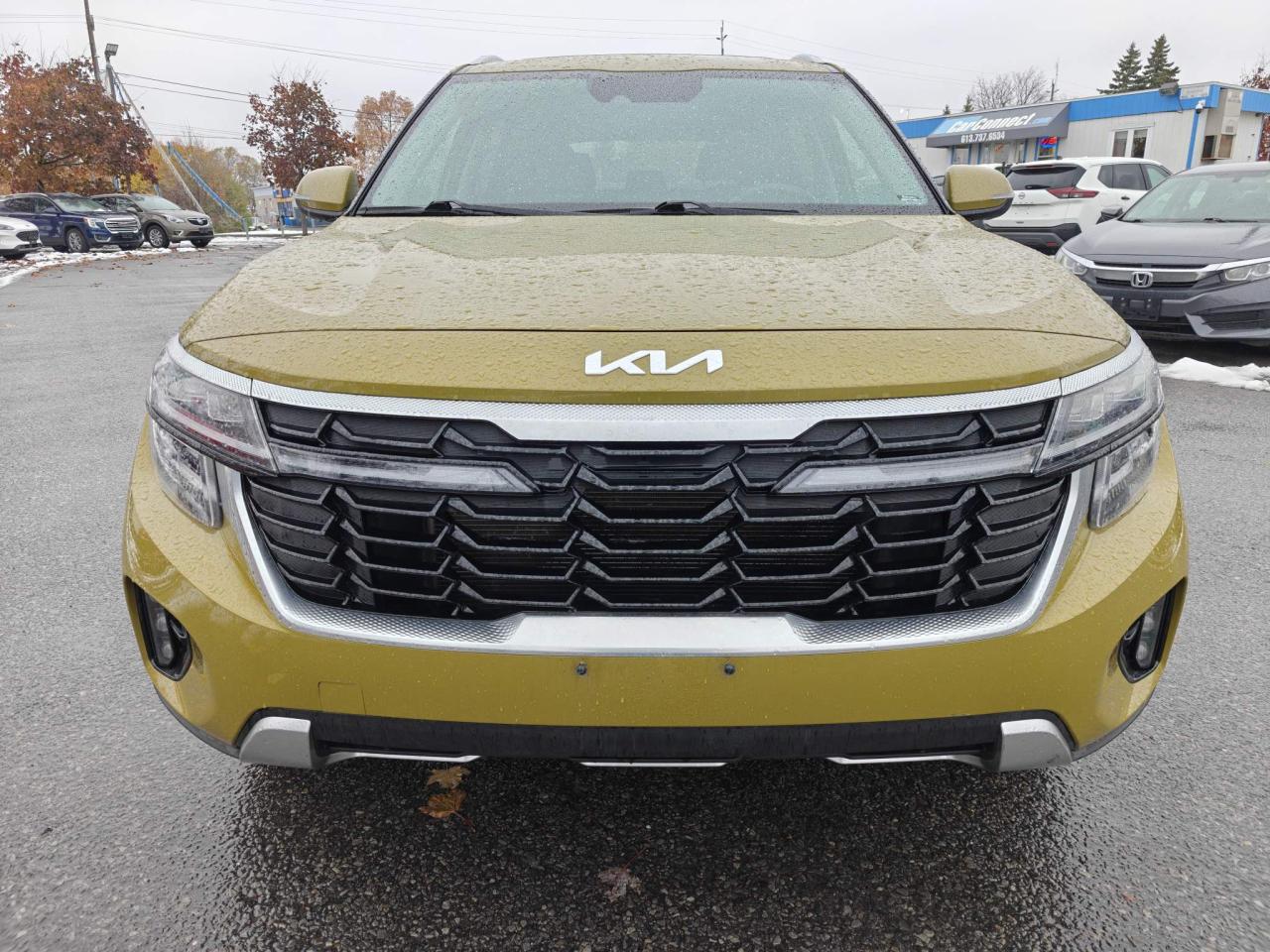 2024 Kia Seltos EX Premium 4dr All-Wheel Drive Photo