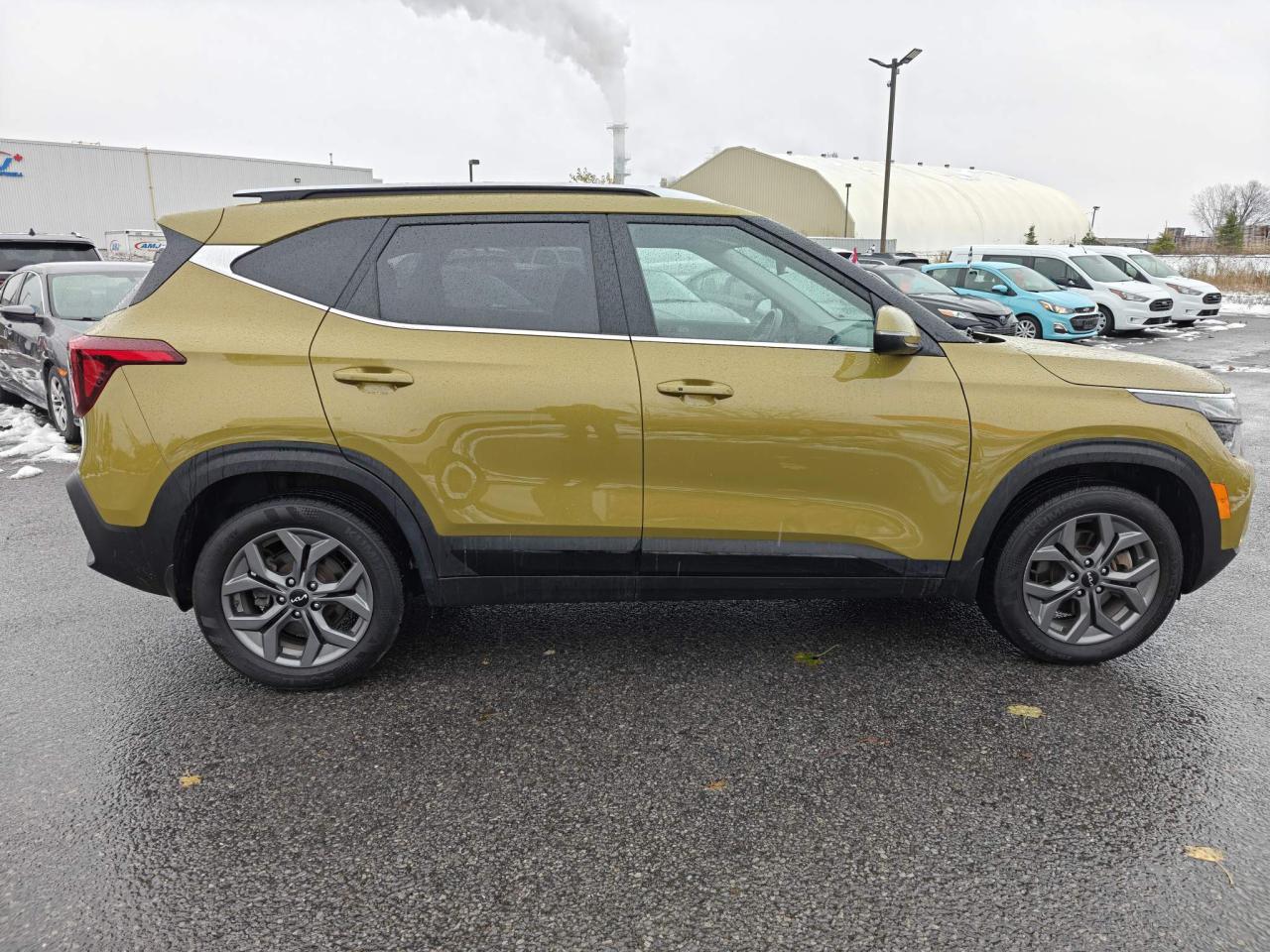 2024 Kia Seltos EX Premium 4dr All-Wheel Drive Photo