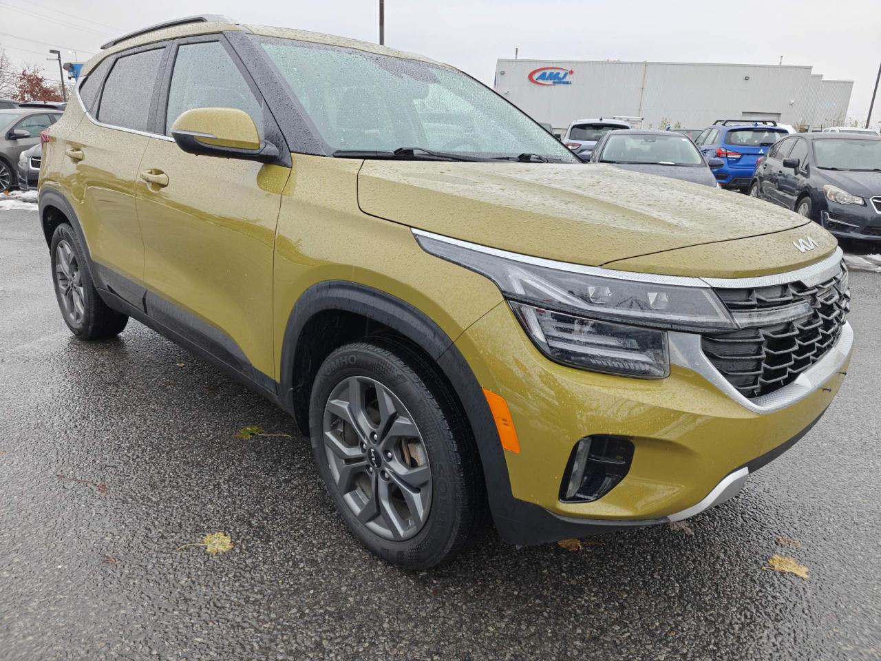 2024 Kia Seltos EX Premium 4dr All-Wheel Drive Photo