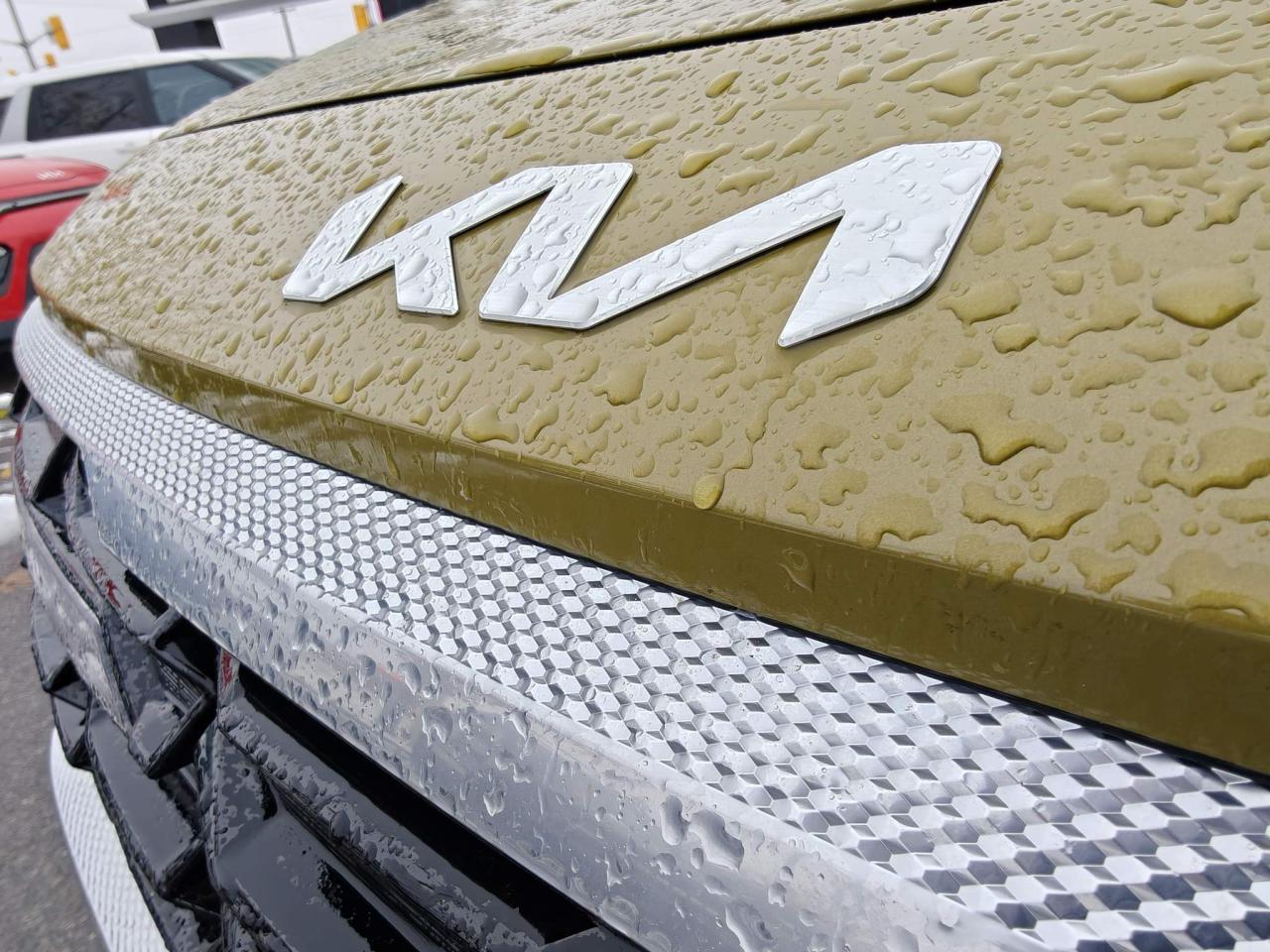 2024 Kia Seltos EX Premium 4dr All-Wheel Drive Photo