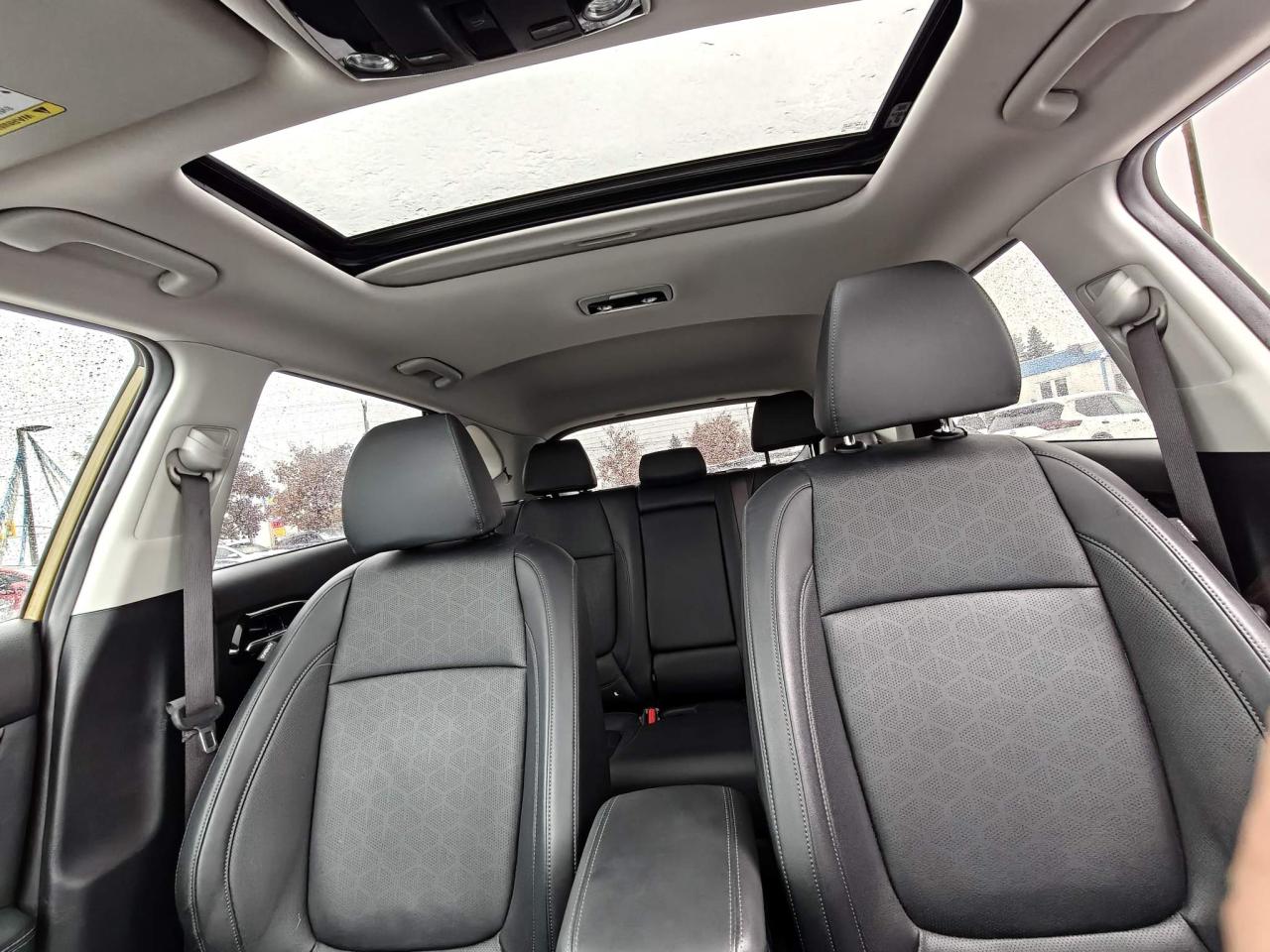 2024 Kia Seltos EX Premium 4dr All-Wheel Drive Photo