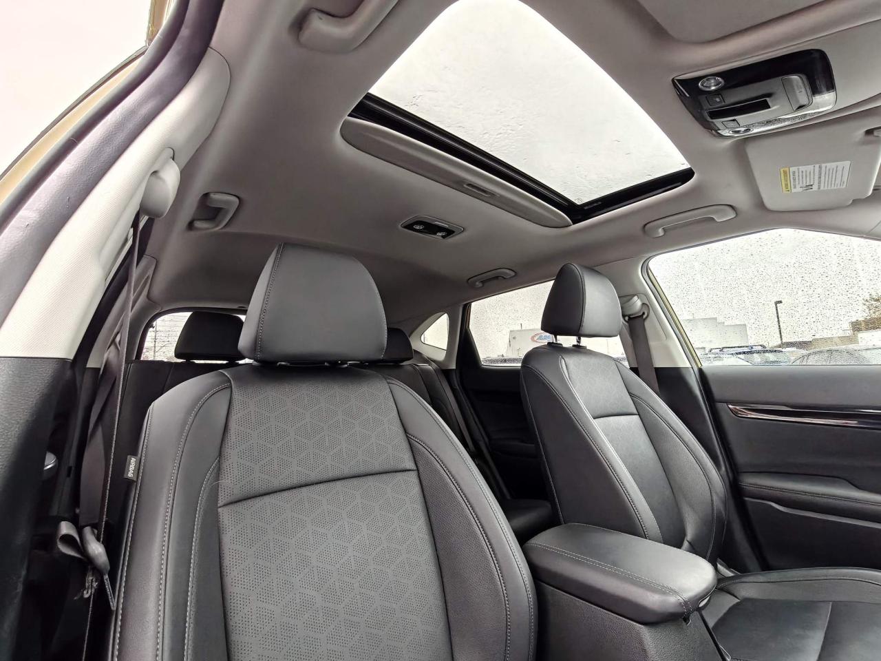 2024 Kia Seltos EX Premium 4dr All-Wheel Drive Photo