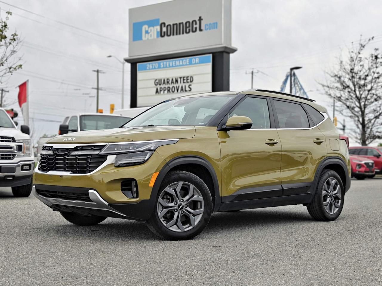 2024 Kia Seltos EX 4dr All-Wheel Drive Photo