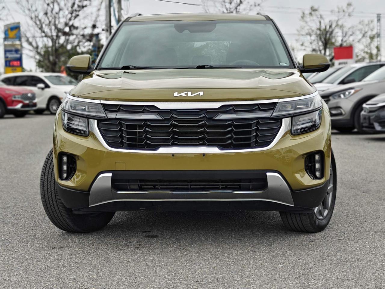 2024 Kia Seltos EX 4dr All-Wheel Drive Photo