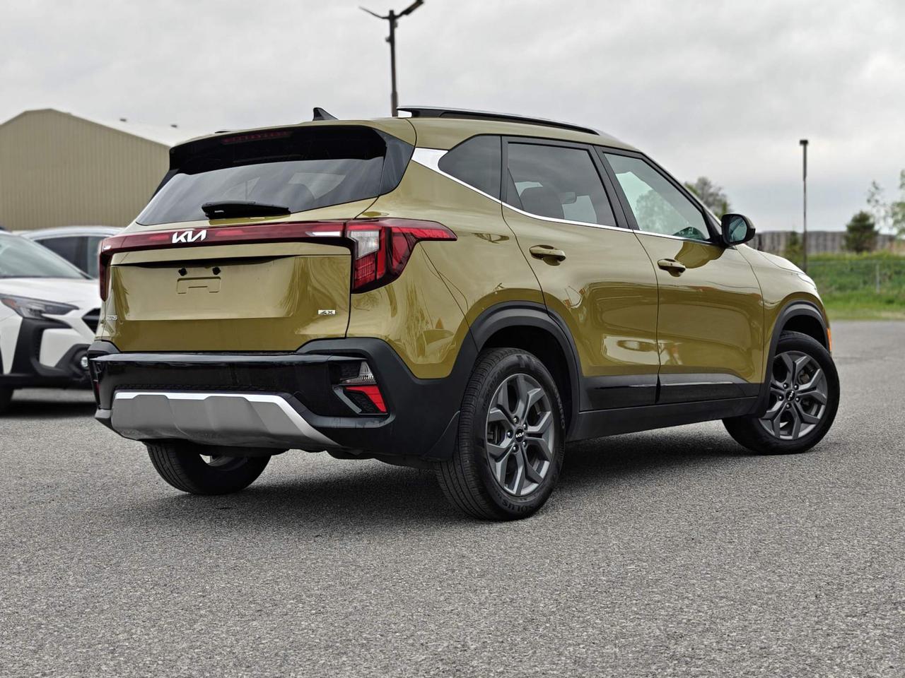 2024 Kia Seltos EX 4dr All-Wheel Drive Photo
