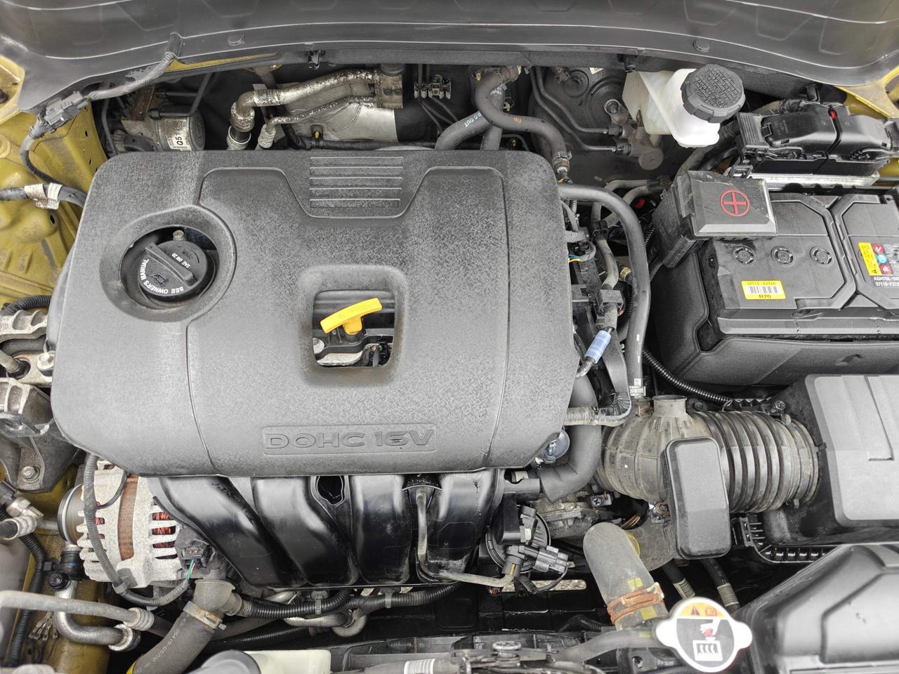 2024 Kia Seltos EX 4dr All-Wheel Drive Photo
