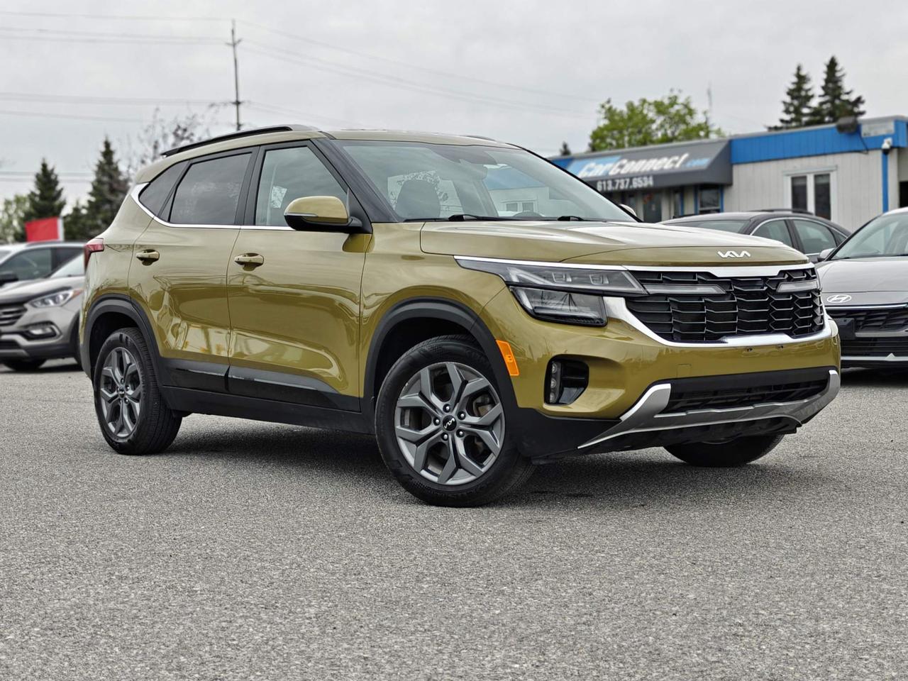 2024 Kia Seltos EX 4dr All-Wheel Drive Photo