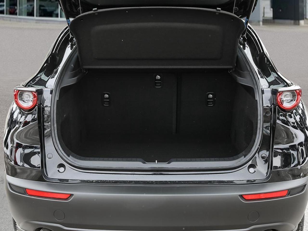 2025 Mazda CX-30 GX 4dr i-ACTIV All-Wheel Drive Sport Utility Photo