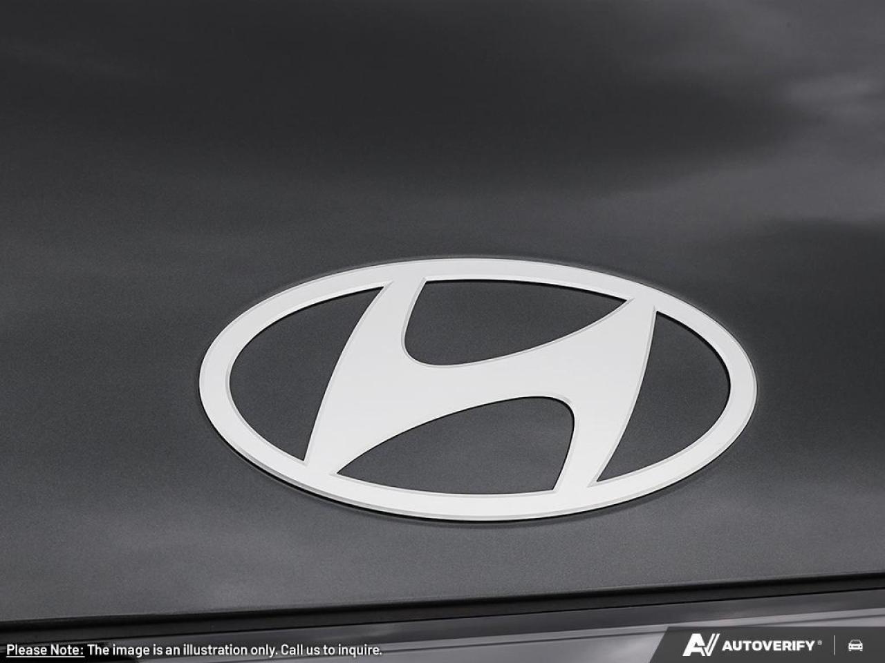 2026 Hyundai IONIQ 9  Photo