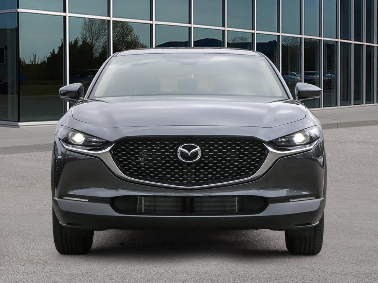 2025 Mazda CX-30 GX 4dr i-ACTIV All-Wheel Drive Sport Utility Photo