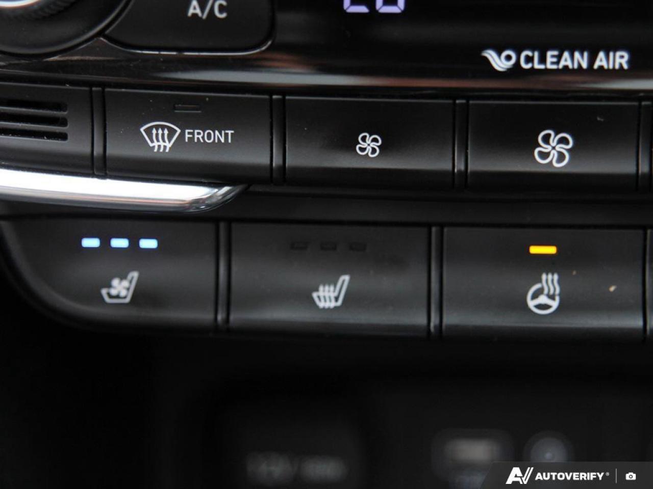 2020 Hyundai Santa Fe Luxury 2.0 4dr All-Wheel Drive Photo