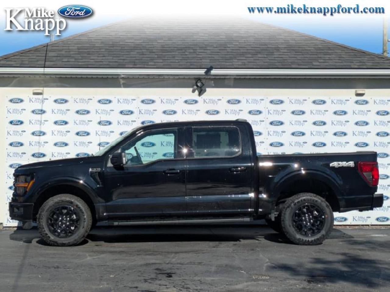 2025 Ford F-150 XLT Photo