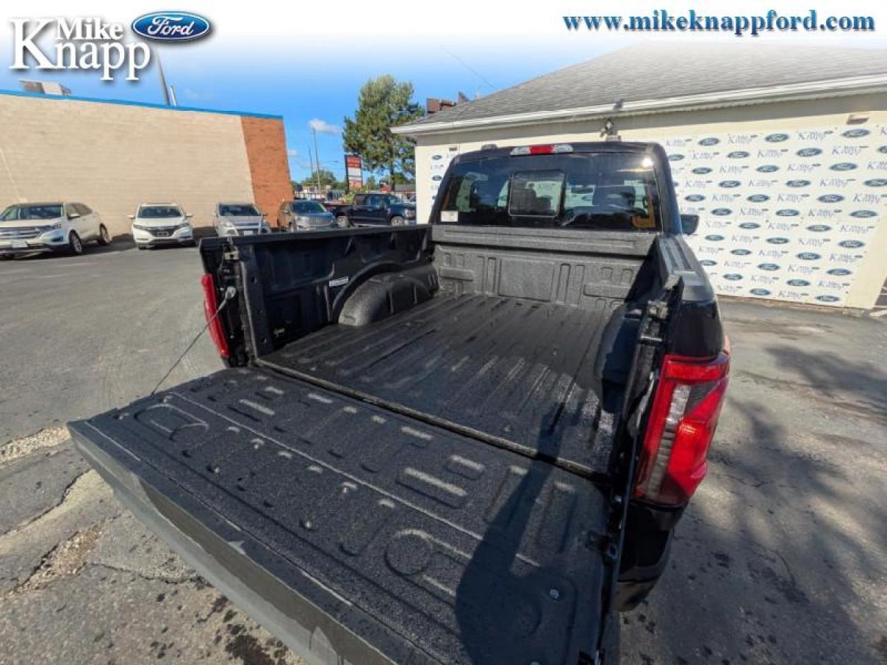 2025 Ford F-150 XLT Photo