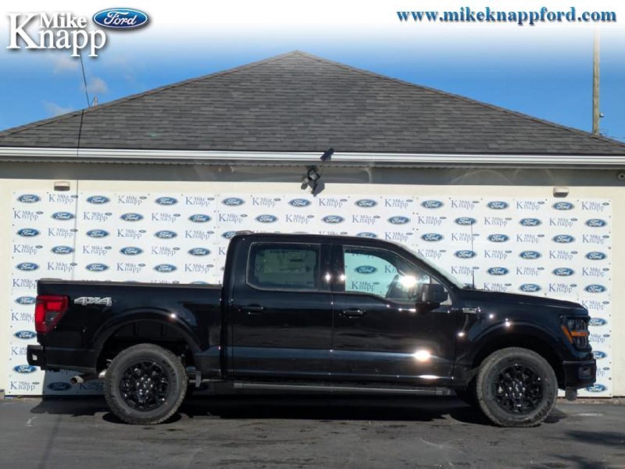 2025 Ford F-150 XLT Photo