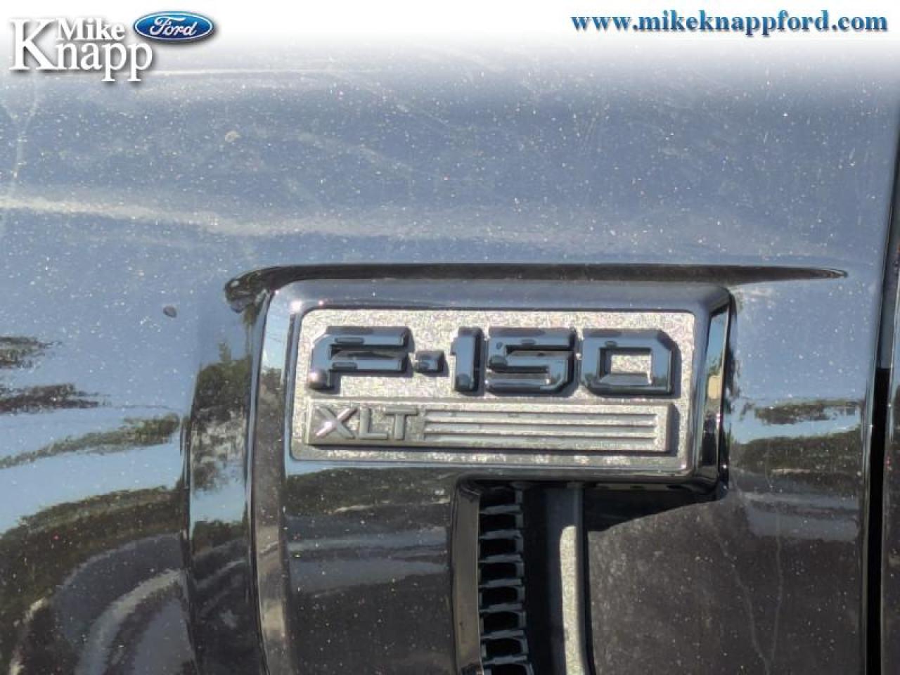 2025 Ford F-150 XLT Photo