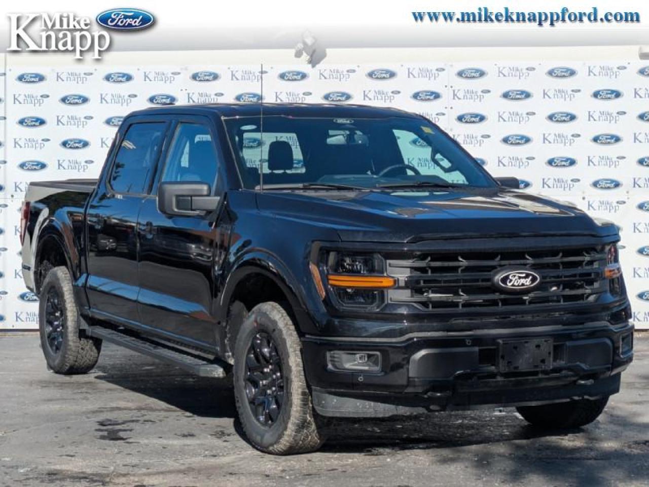 2025 Ford F-150 XLT Photo