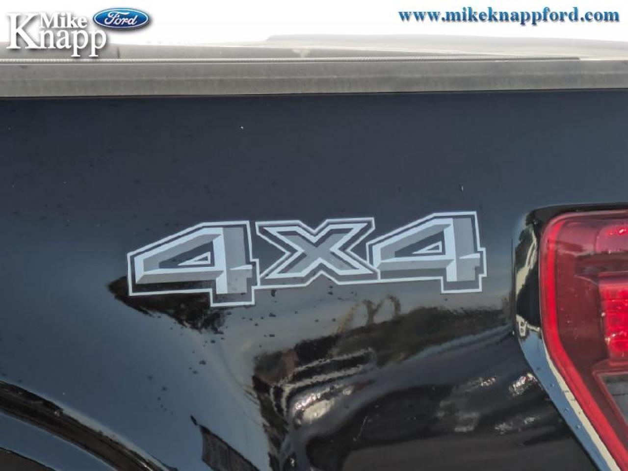 2025 Ford F-150 XLT Photo