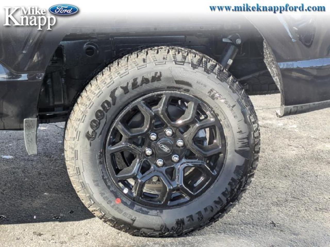 2025 Ford F-150 XLT Photo