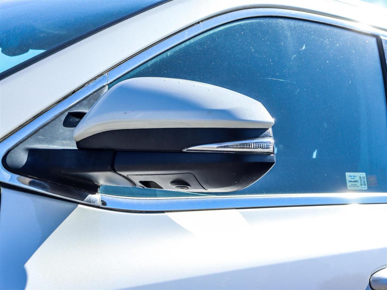 2019 Toyota Highlander  Photo