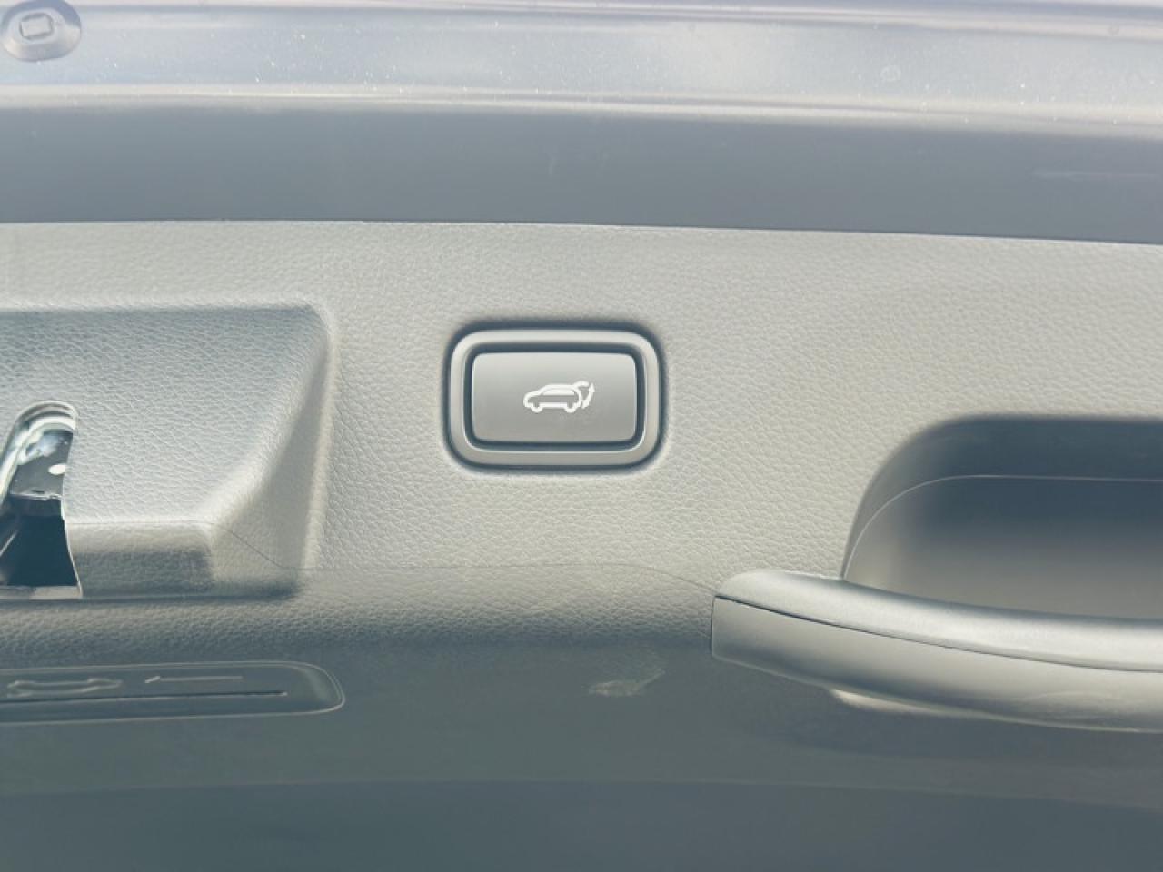 2026 Kia Seltos SX w/Brown Interior Photo