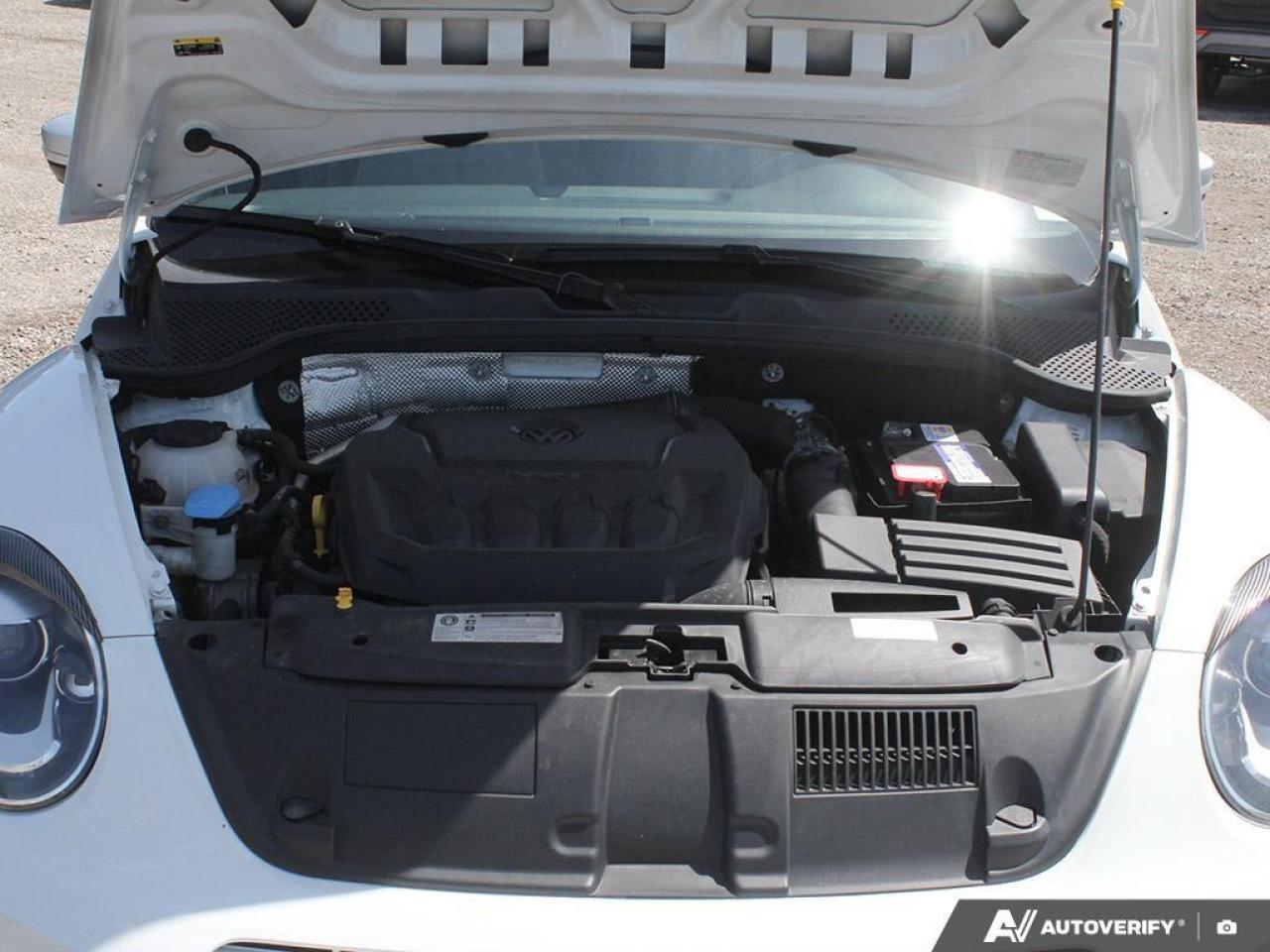 2018 Volkswagen Beetle 2.0 TSI Dune 2dr Convertible Photo